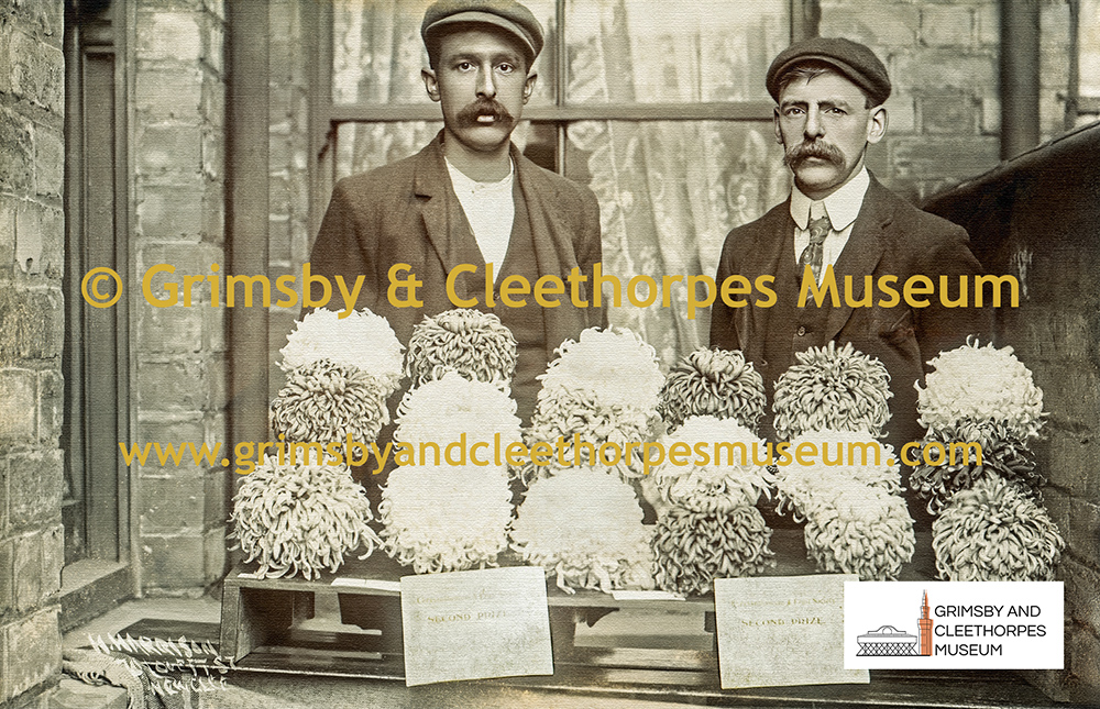 Albert Edward Slater and his prize chrysanthemums c1920s