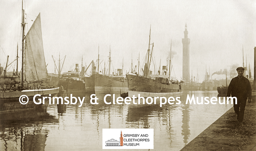 Ships in the Royal Dock, Grimsby c1905