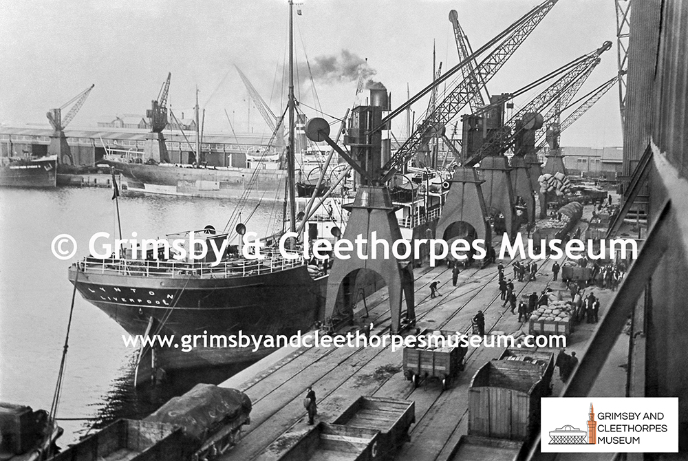 SS ‘Lynton’ (Liverpool) at Immingham 1913